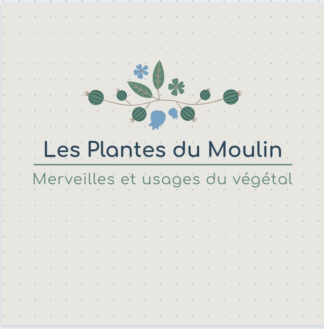 plantes-du-moulin-fond-clair 2025 (source tourinsoft).jpg